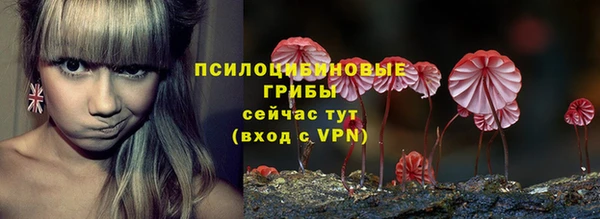MDMA Богородск