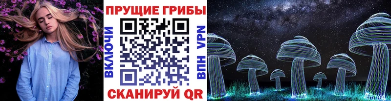 Галлюциногенные грибы Cubensis  Купить закладки  Абинск 